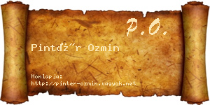 Pintér Ozmin névjegykártya